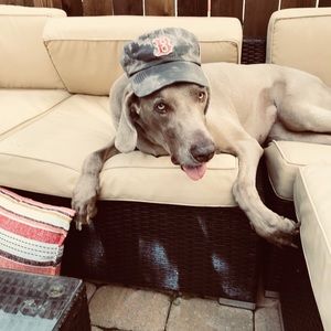 Meet your Posher, Kimberly